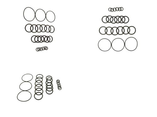 Rotowash Pompa Oring Seti